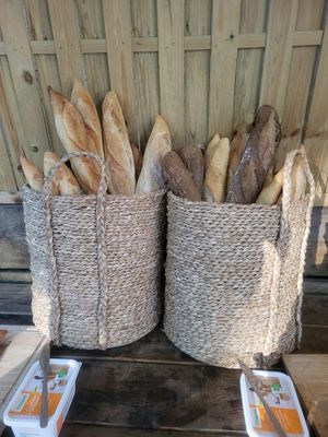  at Vegan Surf Camp in Moliets