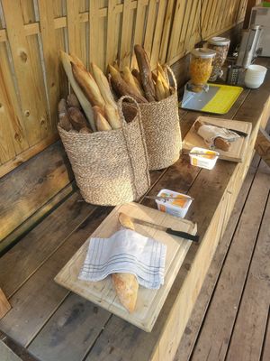  at Vegan Surf Camp in Moliets