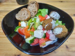  at Vegan Surf Camp in Moliets