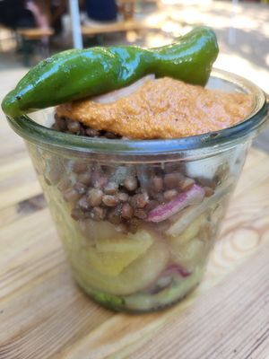  at Vegan Surf Camp in Moliets