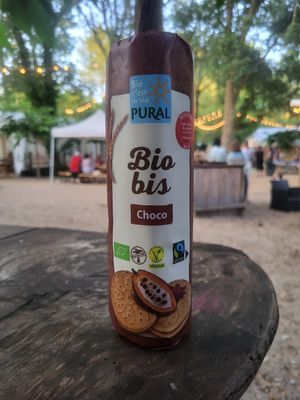  at Vegan Surf Camp in Moliets