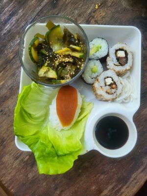  at Vegan Surf Camp in Moliets