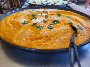  at Vegan Surf Camp in Moliets