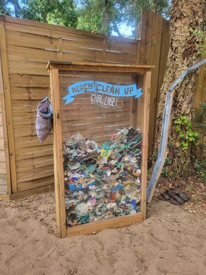  at Vegan Surf Camp in Moliets