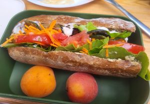  at Vegan Surf Camp in Moliets