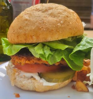  at Vegan Surf Camp in Moliets