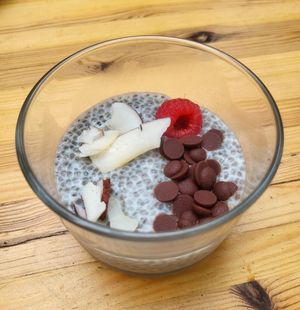  at Vegan Surf Camp in Moliets