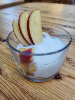  at Vegan Surf Camp in Moliets