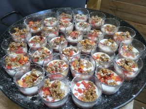  at Vegan Surf Camp in Moliets