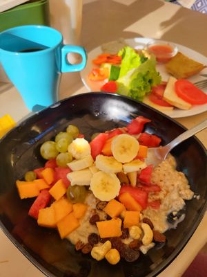  at Vegan Surf Camp in Messanges