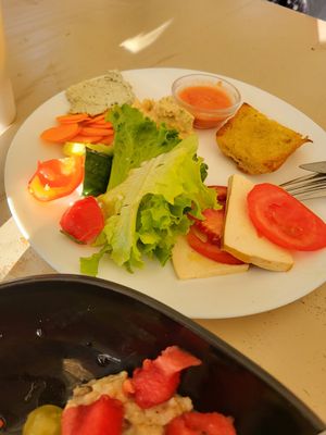  at Vegan Surf Camp in Messanges