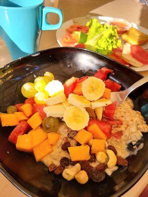  at Vegan Surf Camp in Messanges