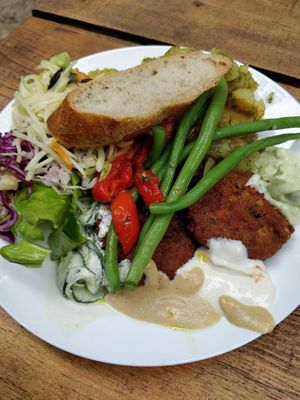 Yummy at Vegan Surf Camp in Moliets