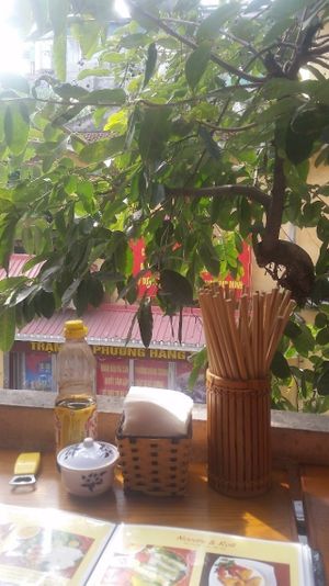 View from the balcony at Noodle & Roll in Hanoi