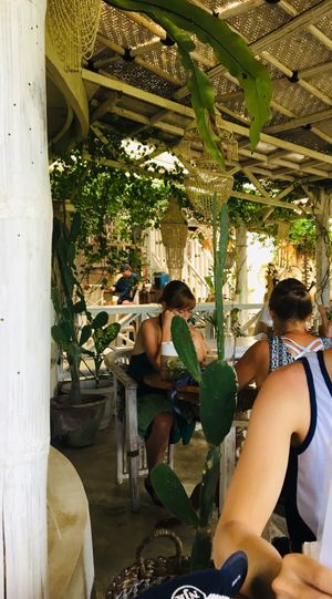 Pachamama interior at Pachamama Organic in 