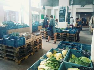 Wide variety of fresh and local organic vegetables at BE O Versmarkt in Ghent
