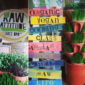 Smoothie with wheatgrass juice  at RawAttitude - Fuengirola in Fuengirola