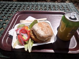 Spicy bean burger at St Ann's Well Cafe in Malvern