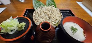 Vegan dipping cold soba at Ebisu Soba in Takayama