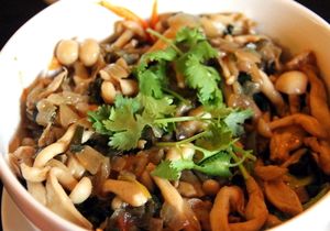 Perfect mushroom salad had so much taste.  at Taboon in Koh Phangan