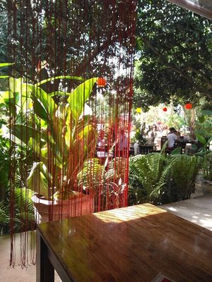 Garden setting at Taboon in Koh Phangan