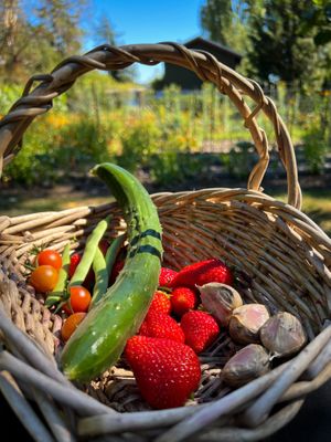   at Pebble Cove Farm Inn in Orcas Island