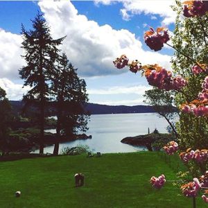 Blossoms on the farm. at Pebble Cove Farm Inn in Orcas Island