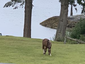 Water view  at Pebble Cove Farm Inn in Orcas Island