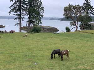 Paradise  at Pebble Cove Farm Inn in Orcas Island