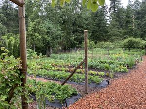 Garden  at Pebble Cove Farm Inn in Orcas Island