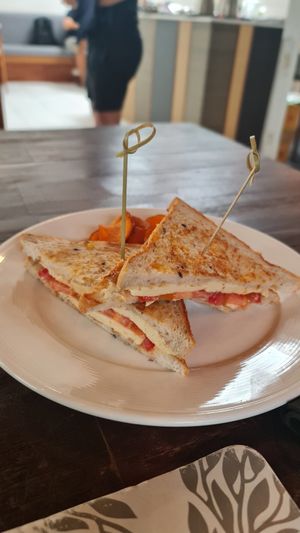 Veg cheese toastie so good at Food4Thought in Chiang Mai