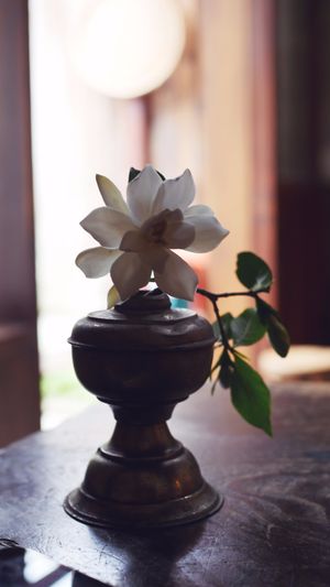 Decor of Stardust at Stardust in Kyoto