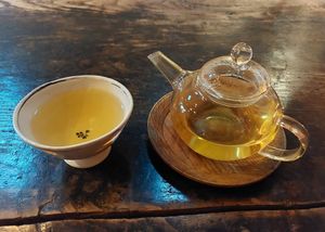 Fleuve Jaune at Stardust in Kyoto