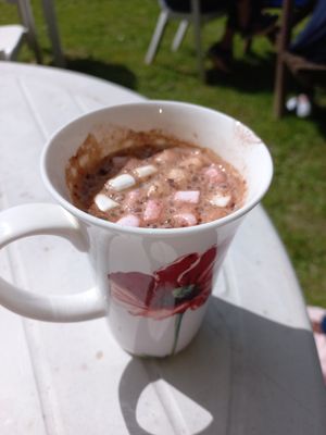 Vegan hot chocolate with vegan marshmellows at Foal Farm Tea Room in Westerham