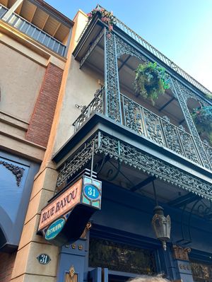   at Disneyland - Blue Bayou in Anaheim