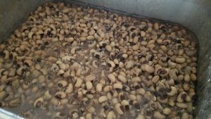 beans at Mr. Wisdom in Los Angeles