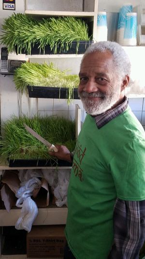 Mr Wisdom at Mr. Wisdom in Los Angeles