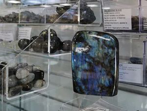  at Biomonde Le Chemin Bio in Pornic