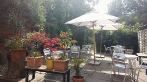 Garden at Cafe 68 at Cycle Heaven in York