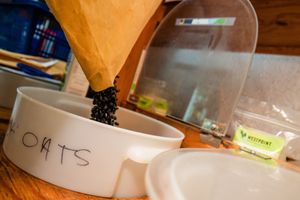 Selection of bulks items at Steep Hill Food Co-op in Saskatoon