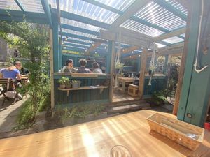   at Bonobo Cafe in Aberdeen