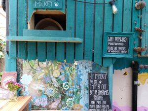  at Bonobo Cafe in Aberdeen