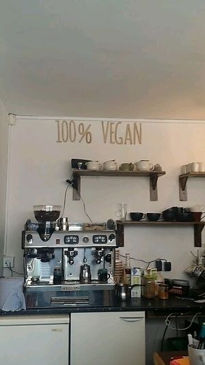 Bonobo  at Bonobo Cafe in Aberdeen