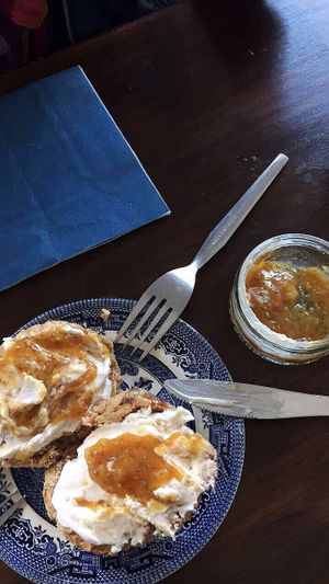 The most delicious scones  at Bonobo Cafe in Aberdeen