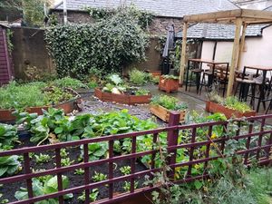 Nice terrace, sorry about the rain at Bonobo Cafe in Aberdeen