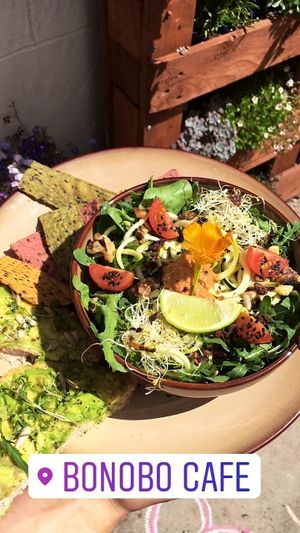 Beautiful Salad of the Day at Bonobo Cafe in Aberdeen