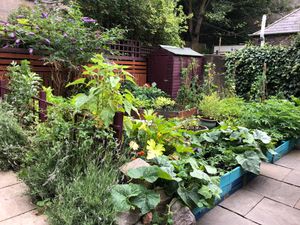 Their garden patio. at Bonobo Cafe in Aberdeen
