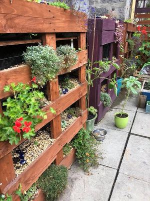 Great gardening idea on their patio. at Bonobo Cafe in Aberdeen