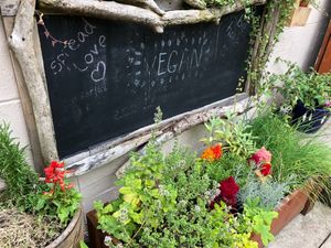 Their garden patio. at Bonobo Cafe in Aberdeen