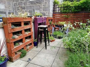 Garden 2 at Bonobo Cafe in Aberdeen